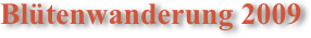 Blütenwanderung 2009